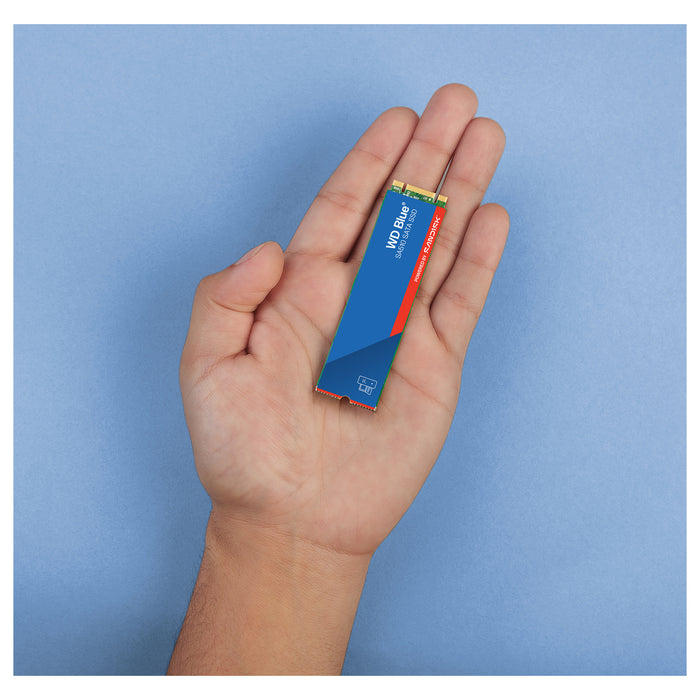 SanDisk Blue WD SA510