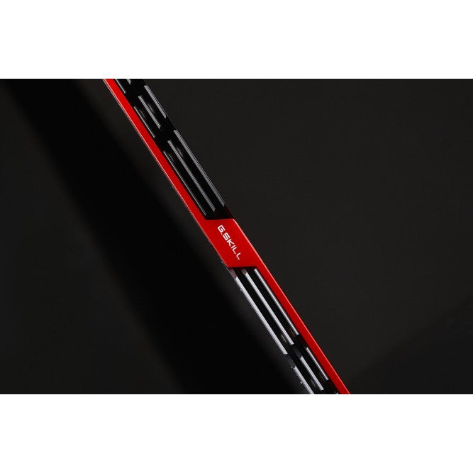 G.Skill 16GB DDR4 memory module