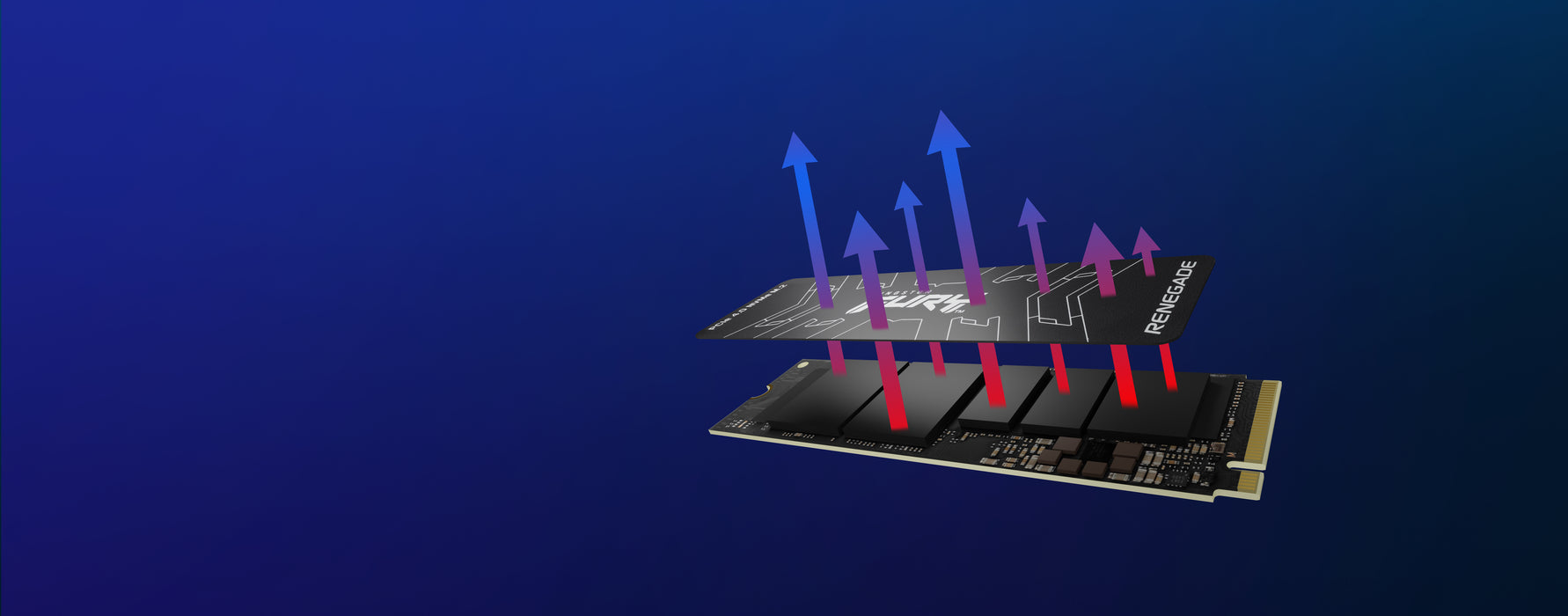 Kingston Technology FURY Renegade